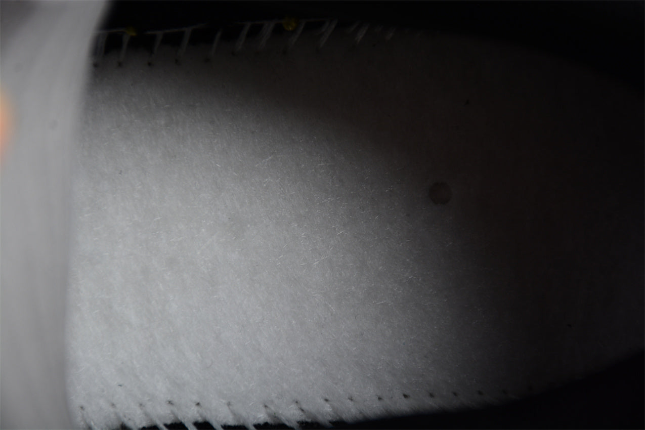 Stussy x SB Dunk Low - Beige Black