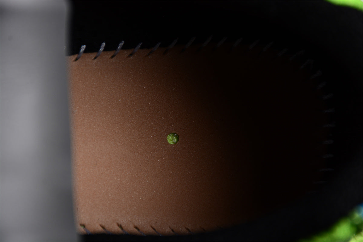 BalenciagaUnisex 3xl - Neon Green