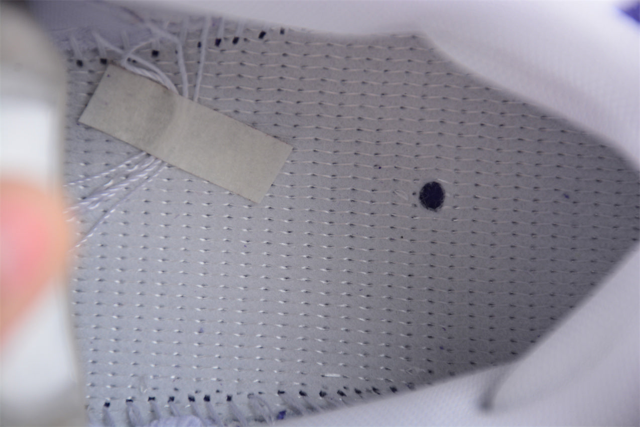 NikeSB Dunk Court - Purple Gum