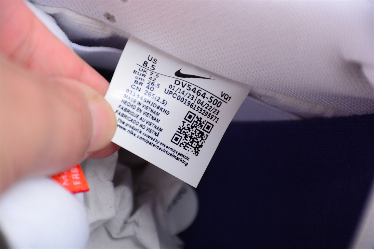 NikeSB Dunk Court - Purple Gum