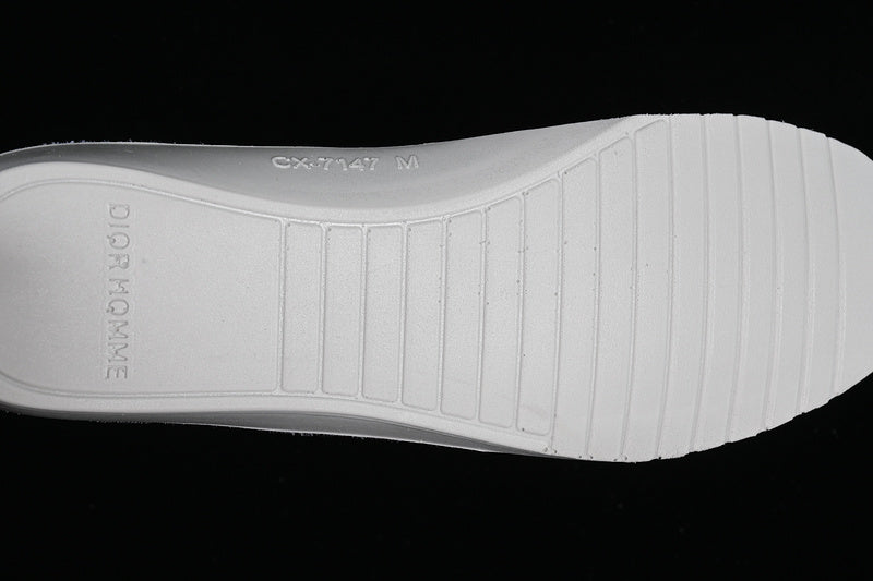 DiorMens b23 low top oblique -  White