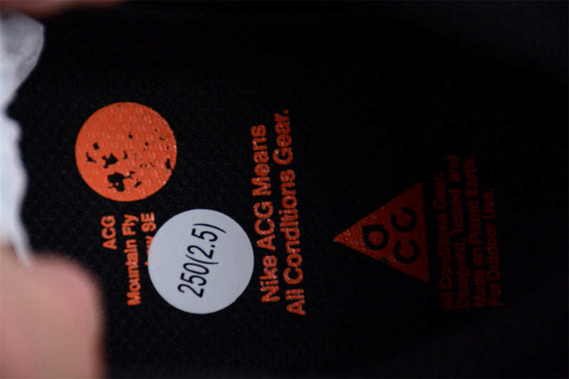 NikeUnisex ACG Mountain Fly Low Gore-Tex SE - Hazel Rush