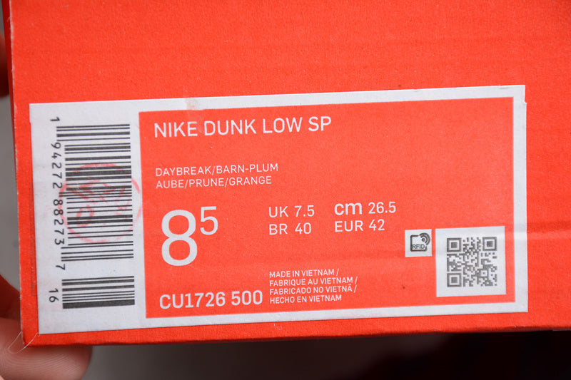 NikeSB Dunk - Purple Plum