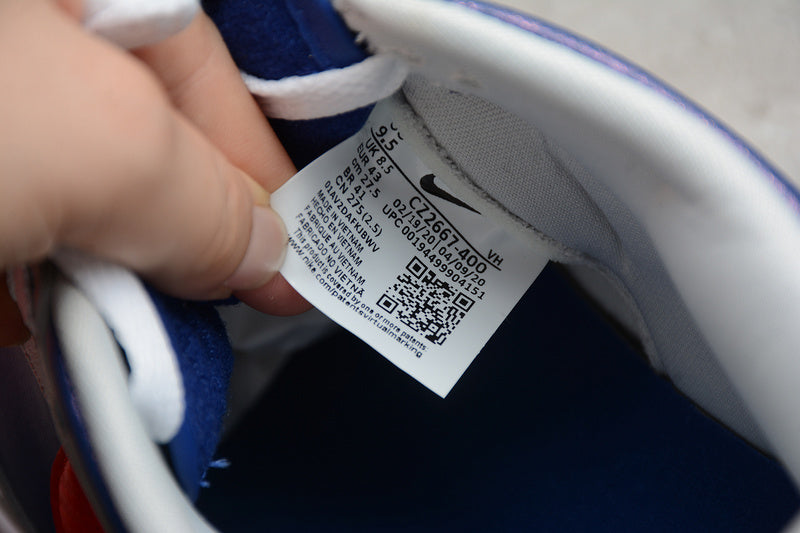 NikeSB Dunk Low - Samba