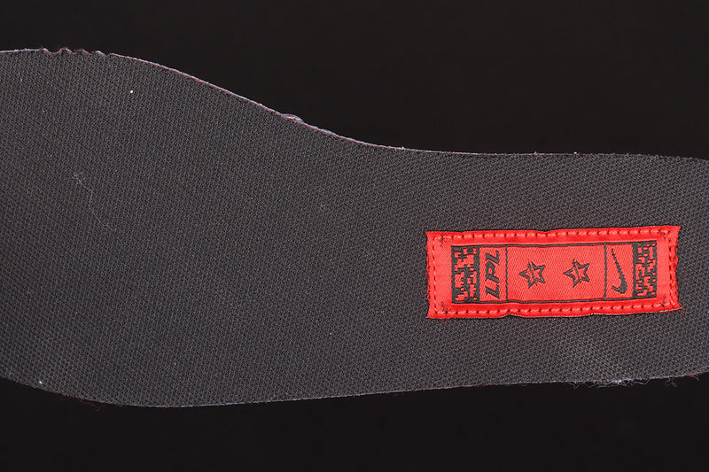 NikeSB Dunk - league of Legends