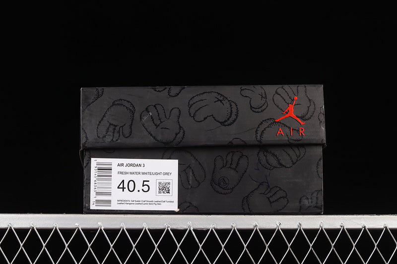 KAWS x Air Jordan 3  AJ3 - Fresh Water
