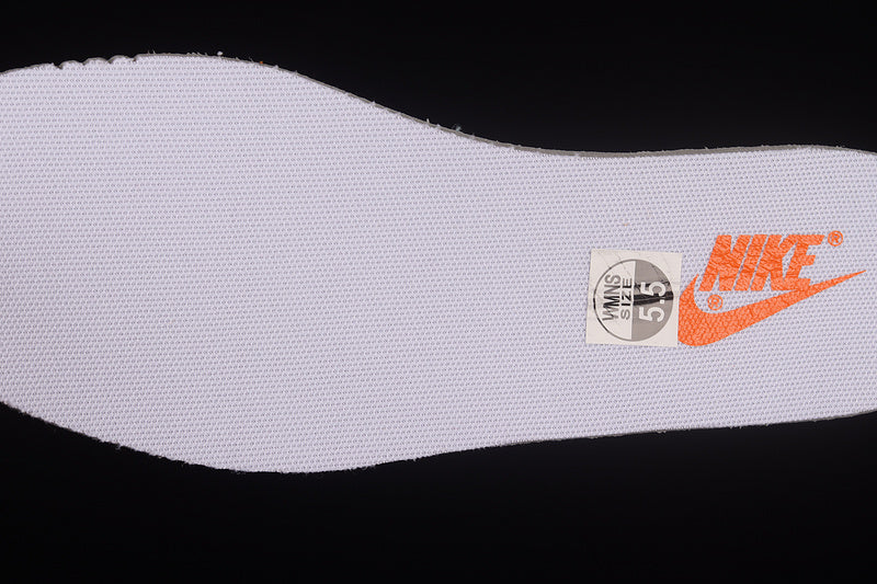 NikeSb Dunk Low x Otomo katsuhiro - Blue/Orange