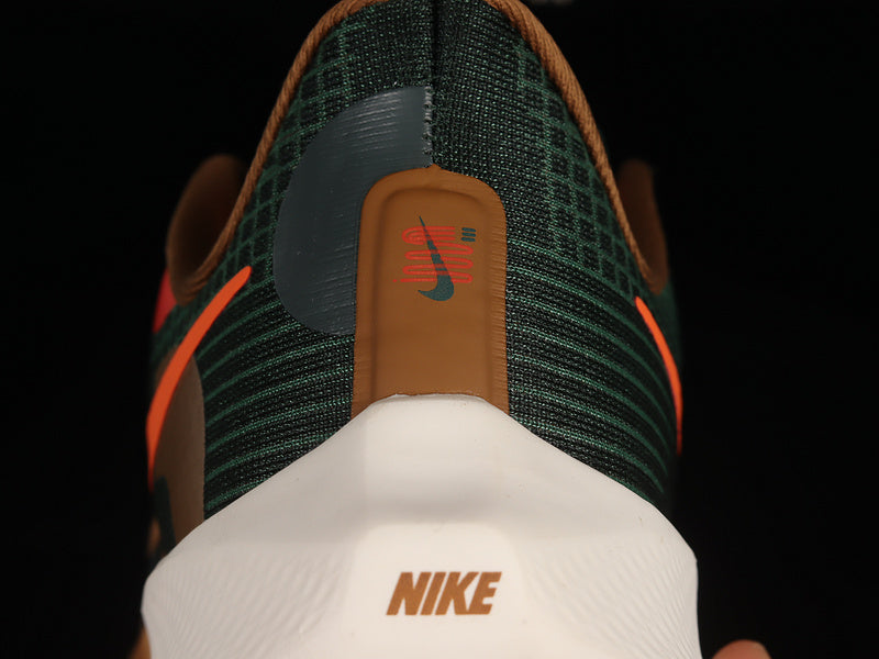 Hola Lou x Air Zoom Pegasus 39 - Dark Green/Orange