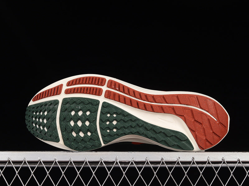 Hola Lou x Air Zoom Pegasus 39 - Dark Green/Orange