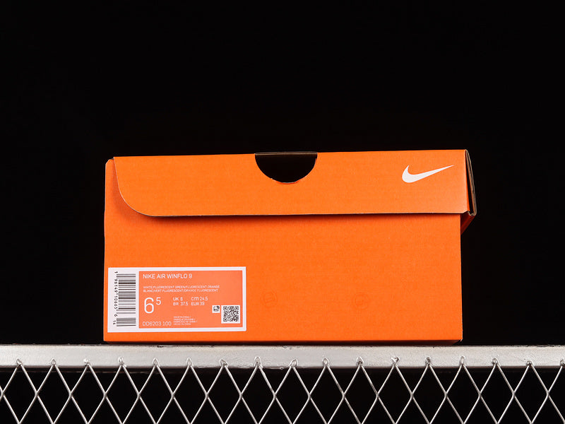 NikeMens Winflo 9 - White