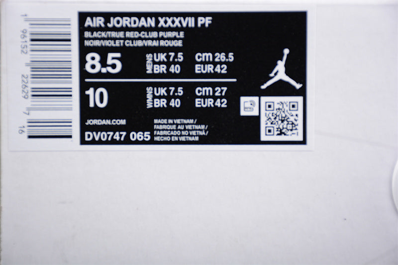 Air Jordan 37 AJ37 - Raptors