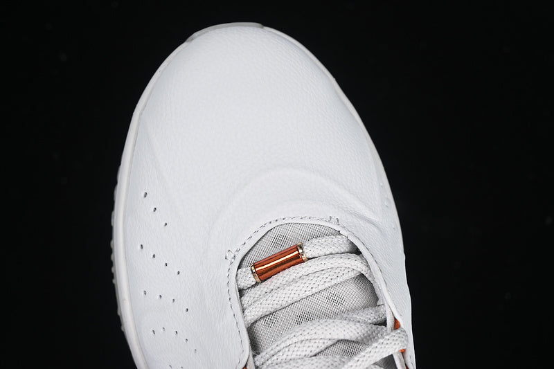 NikeMens LeBron 21 - Akoya