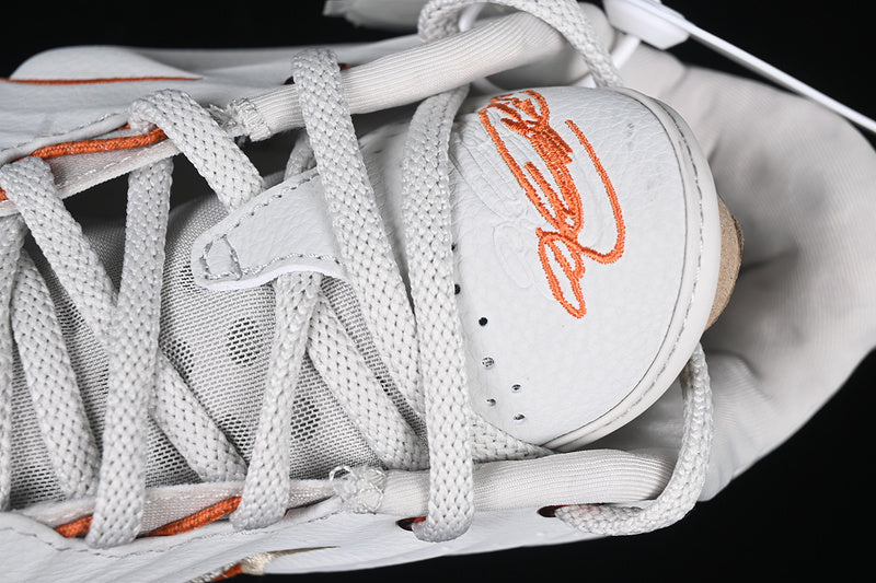 NikeMens LeBron 21 - Akoya