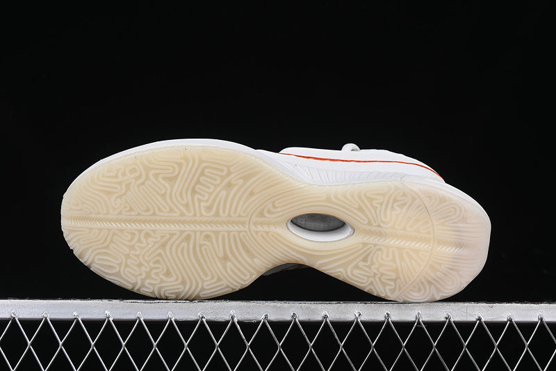 NikeMens LeBron 21 - Akoya