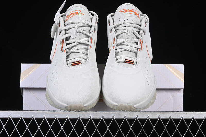 NikeMens LeBron 21 - Akoya