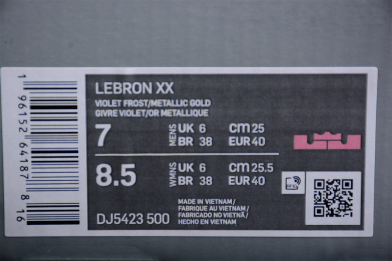 NikeMens Lebron 20 - Violet Frost