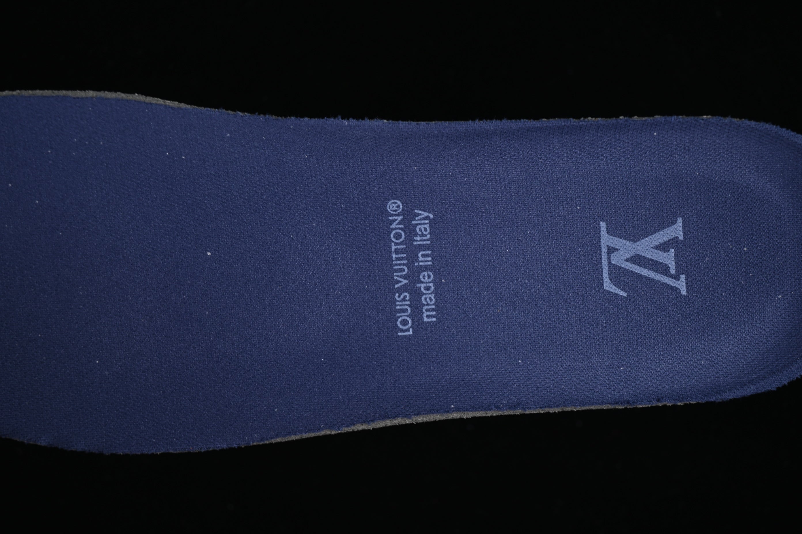 LouisVuitton Trainer - Blue