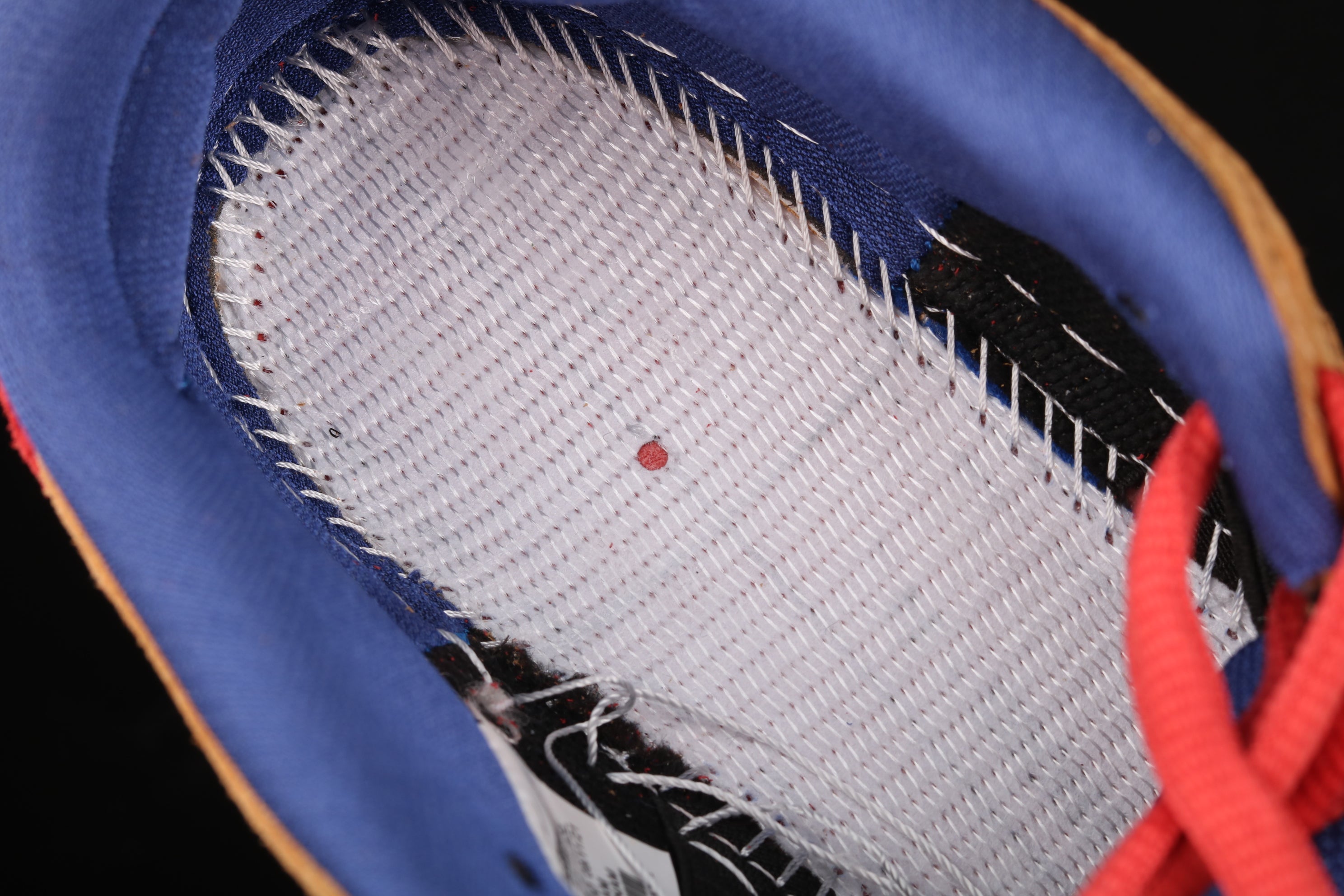 NikeSB Dunk Low Reverse - Papa Bear