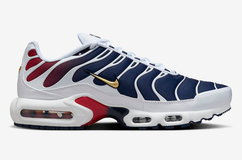 NikeUnisex Air Max Plus - PSG