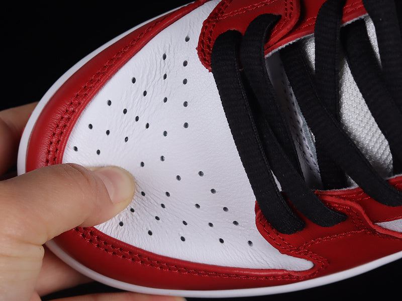 NikeSB Dunk Low J-Pack Chicago