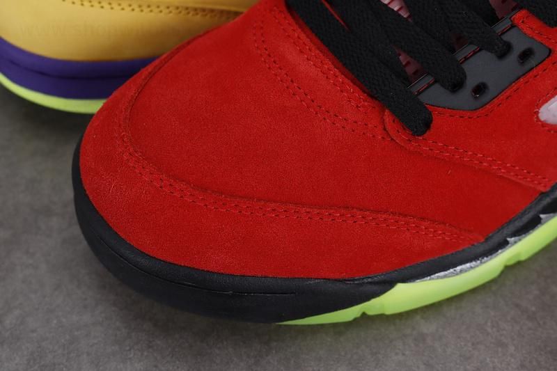 Air Jordan 5 AJ5 Retro - What The