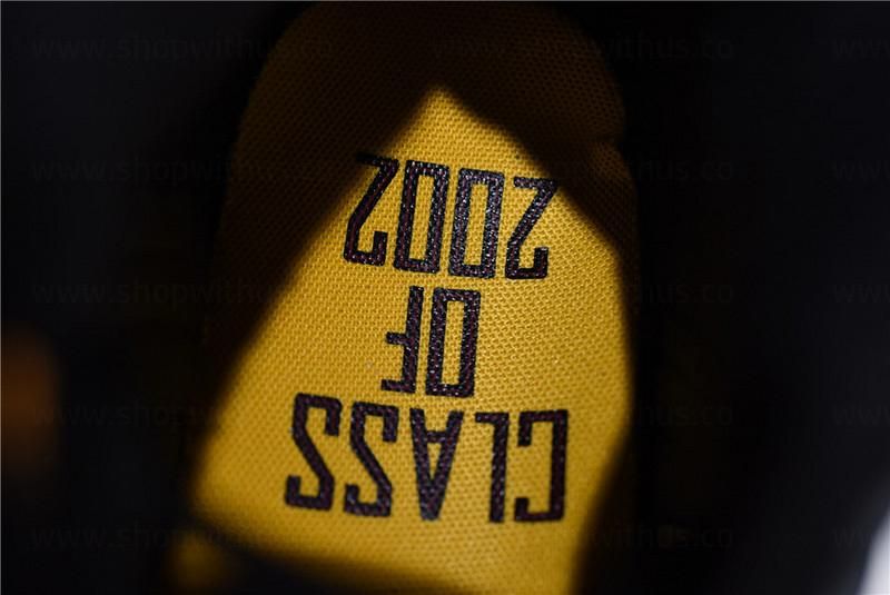 Air Jordan 13 AJ13 Carmelo - Anthony