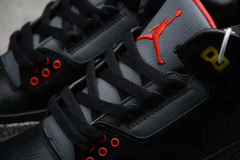 Air Jordan 3 AJ3 Retro SE - Animal Instinct 2.0