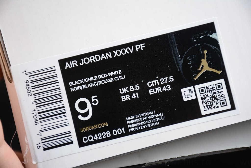 Air Jordan XXXV 35 AJ35 - DNA