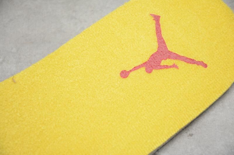 Air Jordan 3 AJ3 Retro SE - Animal Instinct 2.0