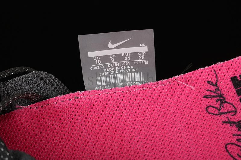 NikeAir Zoom Pegasus Turbo - Be True