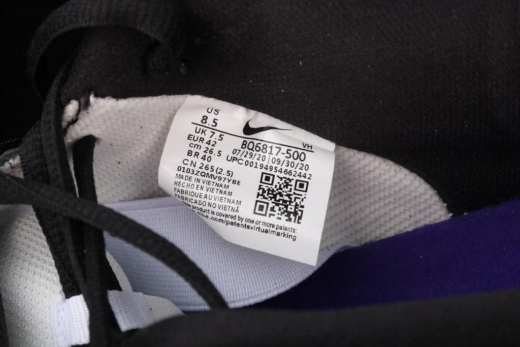 NikeSB Dunk Low - Court Purple