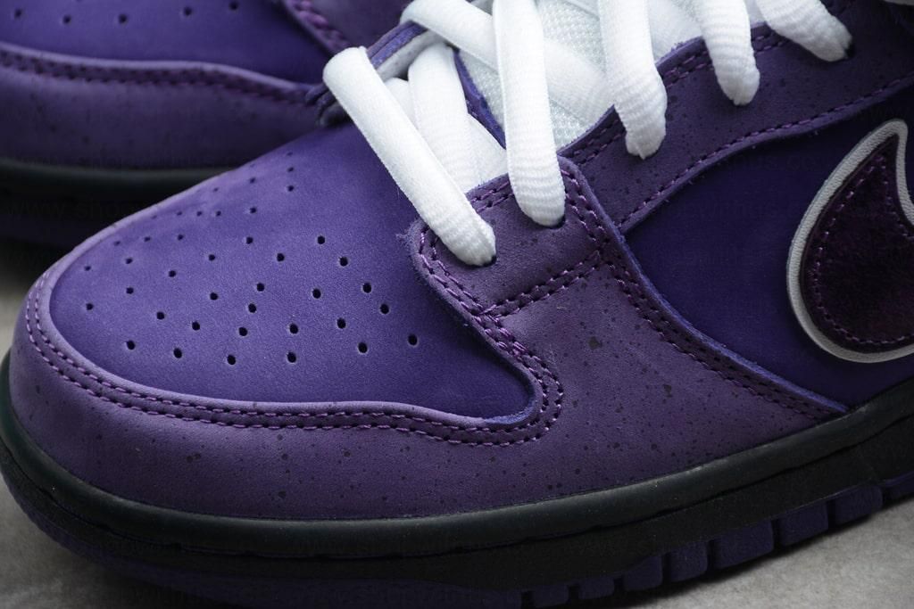 Concepts x NikeSB Dunk Low - Purple Lobster