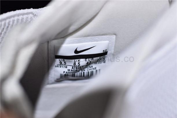 NikeAir Fear of God Raid - Light Bone/Black Sail