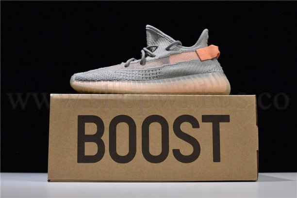 adidasOriginals YEEZY Boost 350 V2 - True Form