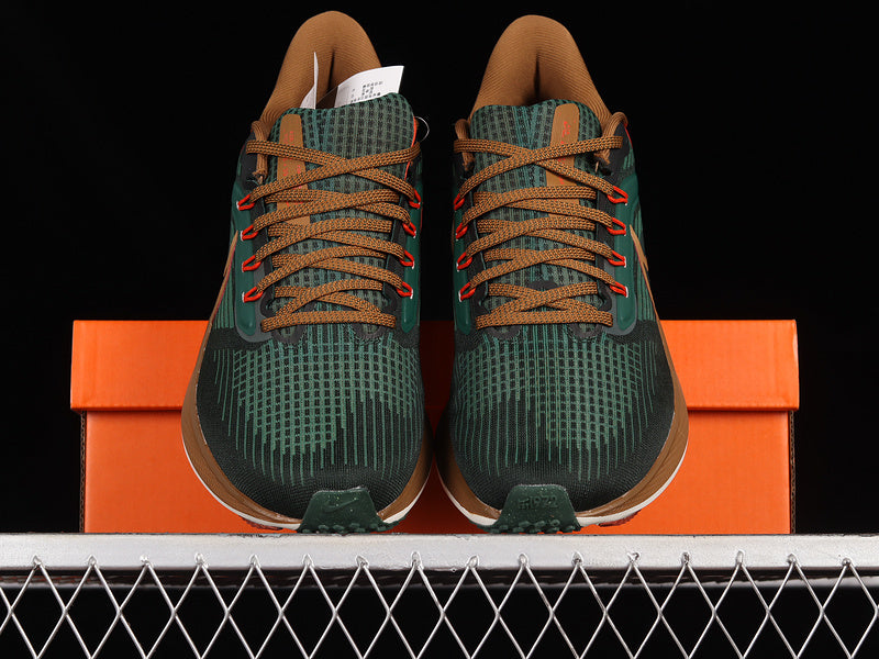 Hola Lou x Air Zoom Pegasus 39 - Dark Green/Orange