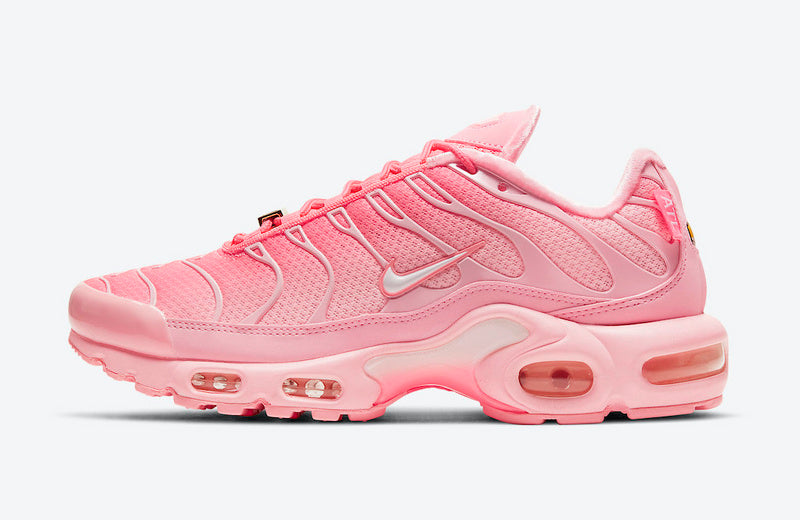 NikeWMNS Air Max Plus - Atlanta