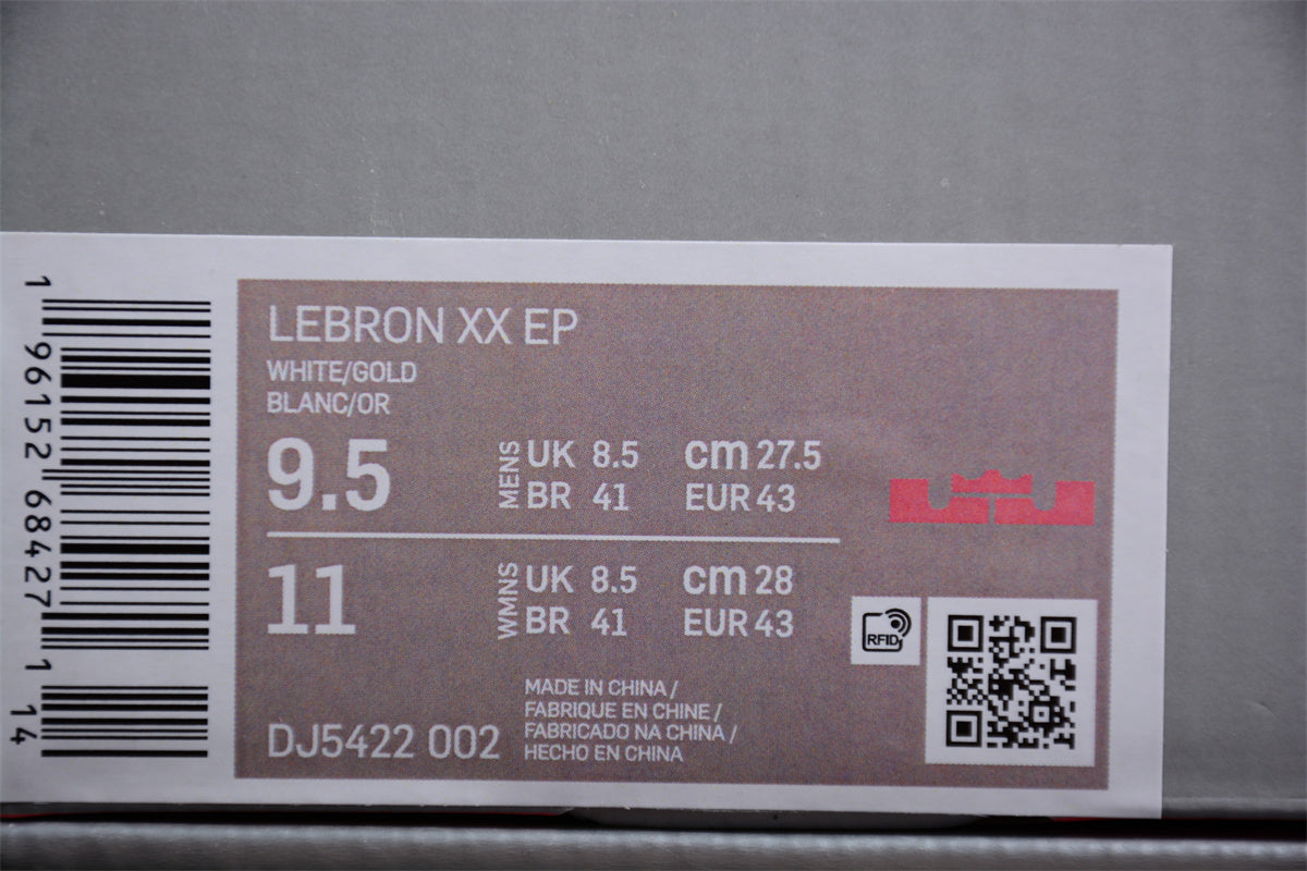 NikeMens Lebron 20 - The Moment